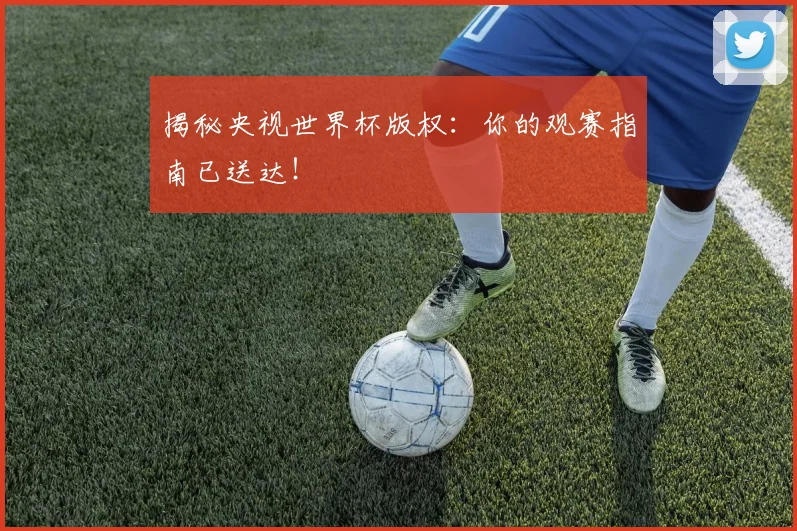 揭秘央视世界杯版权:你的观赛指南已送达!