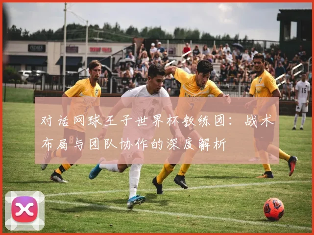 对话网球王子世界杯教练团：战术布局与团队协作的深度解析