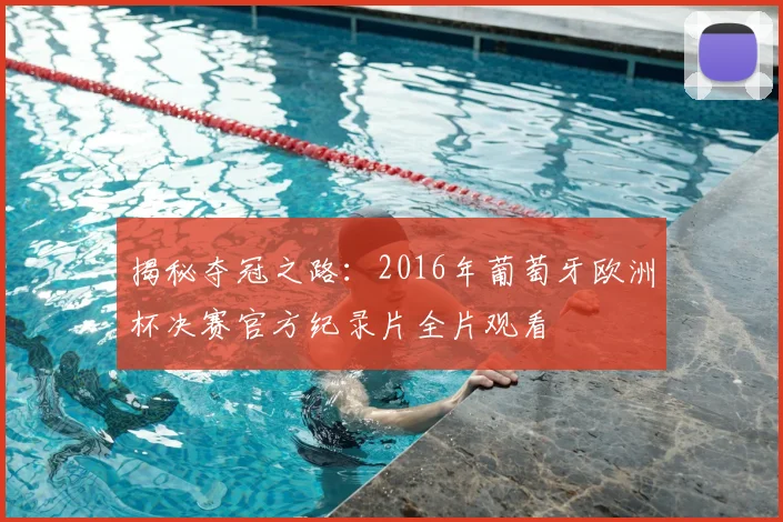 揭秘夺冠之路：2016年葡萄牙欧洲杯决赛官方纪录片全片观看