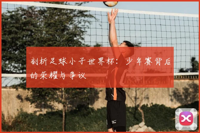 剖析足球小子世界杯：少年赛背后的荣耀与争议