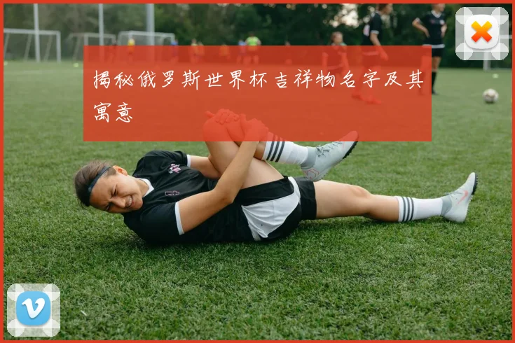 揭秘俄罗斯世界杯吉祥物名字及其寓意
