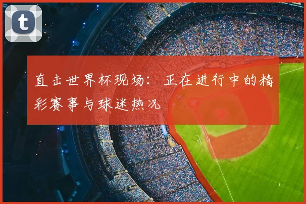直击世界杯现场：正在进行中的精彩赛事与球迷热况